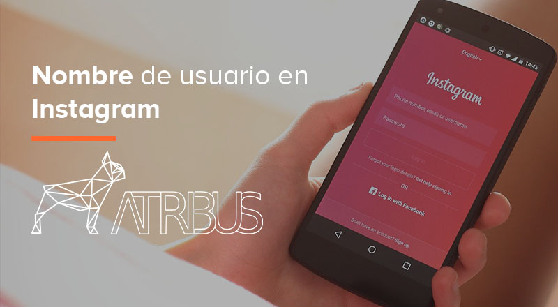 Nombre de usuario en Instagram